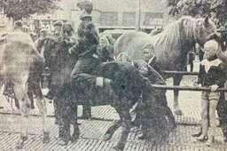 paardenmarkt