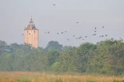landgoed Haarzuilens