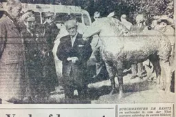 onthulling bronzen paard