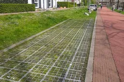 groene parkeerplaats