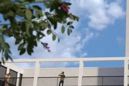 start met renovatie Saffier