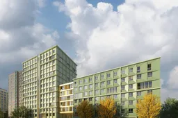 Kwekerij fase 4 Ginkgo