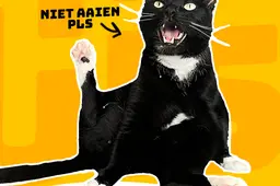 comedyhuis