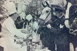 dierendag politie-paarden