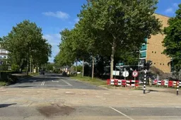 boompjesgoed