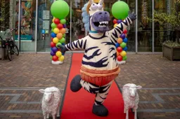 15 jaar cf (1)