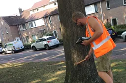 bomencontrole