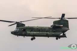 chinook