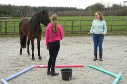 drakencoaching 02