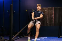 joey seetsen