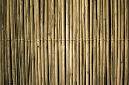 Bamboe Archie Binamira via Pexels