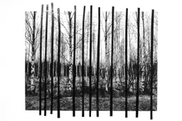 foto Laura Nieuwenhuis 1