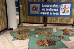 Peukenopbrengst 13-03-2026