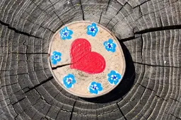 Hartje-op-hout