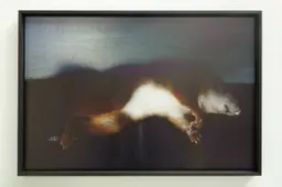 Wilma Linders expo
