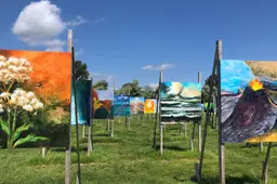 Kunst The Colorfield Performance