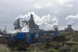 3z1a0257 tata wim meijer fotografie 915x518 1 915x518 1