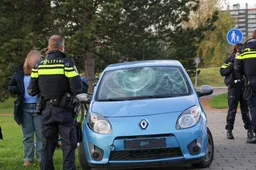 Point Blur_Oct302025_151851_resized