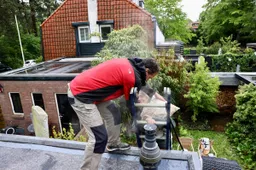 Aanlegdag groene daken 4
