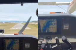 thumb wt plane