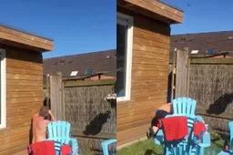 thumb viraal dag drone