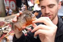 thumb vk bizar vloggers laten grootste illegale dierenmarkt van peru zien