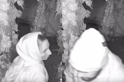 thumb_vk_Stel_kan_zich_tijdens_inbraak_niet_meer_inhouden_en_doet_het_tussen_de_rode_rozen