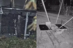 thumb_vk_Influencer_Charles_Ross_onder_vuur_na_stunt_met_buidelrat