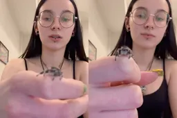 thumb_vk_Deze_springspin_zegt_even_hallo