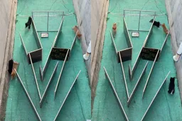 thumb_vk_Deze_honden_moeten_even_puzzelen_voordat_ze_kunnen_eten