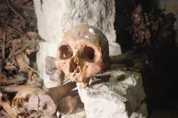 thumb_vk_Noorse_YouTuber_neemt_kijkje_in_catacomben_van_Parijs