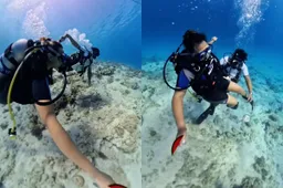 thumb_viraal_Duikinstructeur_vertoont_ongewenst_gedrag