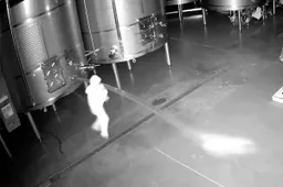 thumb_vk_Voor_2_7_miljoen_dollar_aan_wijn_verspild_na_ontslag