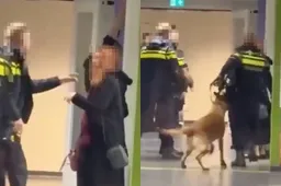 thumb_viraal_polite_optreden_zeist