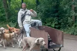 thumb_viraal_honden_uitlaten_vondelpark