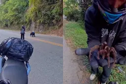 thumb_viraal_spin_colombia