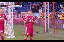 Dante Vanzeir ontploft eindelijk en laat heel New York smullen (VIDEO)