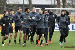 "Misschien sluit ik mijn carrière wel af bij Anderlecht"