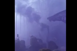 Zotte taferelen vlak voor clash tussen Beerschot Wilrijk en Cercle (Video)