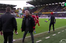 Laszlo Bölöni gaat volledig door het lint tijdens Club Brugge-Antwerp