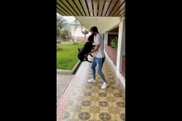 Club Brugge-speler zorgt voor hét beeld na de titelviering (VIDEO)