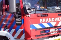 kw5pn7gwjs8vfaix1qu9tn82b ww140310brandweer
