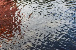 Lozen20grondwater_lr