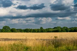 pexels-strannik-sk-33071905