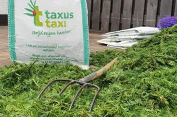 taxus-taxi