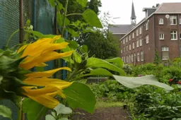kloostertuin-scaled
