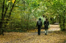 Headerafbeelding-green-monday-wandelen-bos