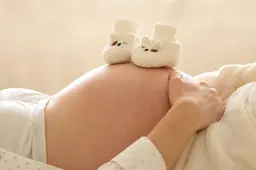 marjonhorn-pregnant-6189040_1920