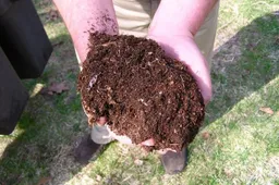 compost