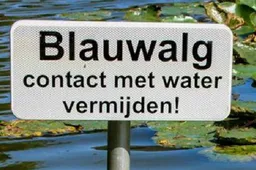 Naamloos